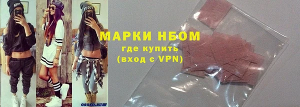 стафф Корсаков