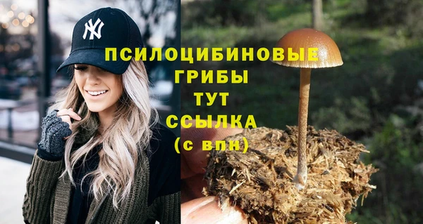 мяу мяу мука Красноперекопск
