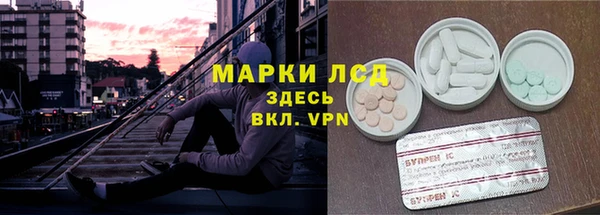 стафф Корсаков