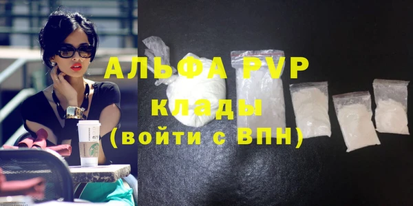 стафф Корсаков