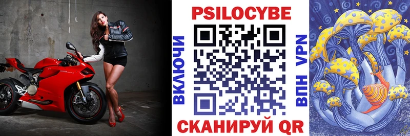Купить закладки  Краснослободск  Псилоцибиновые грибы MAGIC MUSHROOMS 